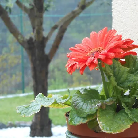 Le Due Poiane Bed and breakfast Tavarone